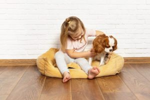 Un chien et deux enfants jouent sur un sol imitation bois baigné de lumière près d’une baie vitrée.
